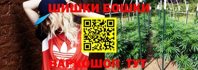 молекула духа Аша