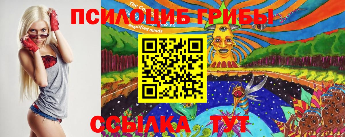Галлюциногенные грибы мухоморы Абакан